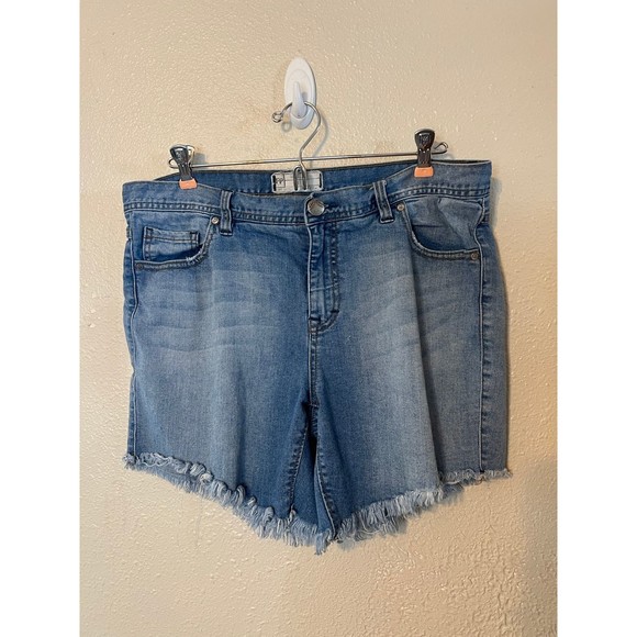 Free People Raw Hem Jean Shorts Size 31